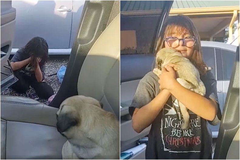 Pug-obsessed little girl cries over puppy