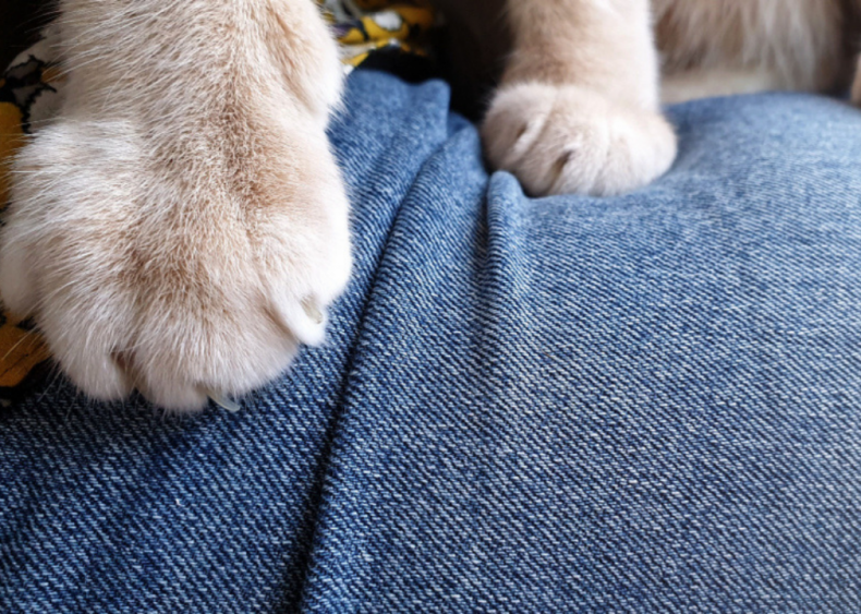Why does my cat knead like a baker?