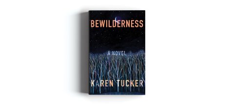 CUL_Summer Books_Fiction_Bewilderness