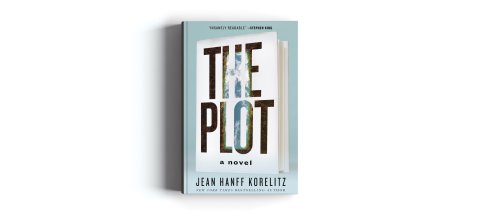 CUL_Summer Books_Fiction_The Plot