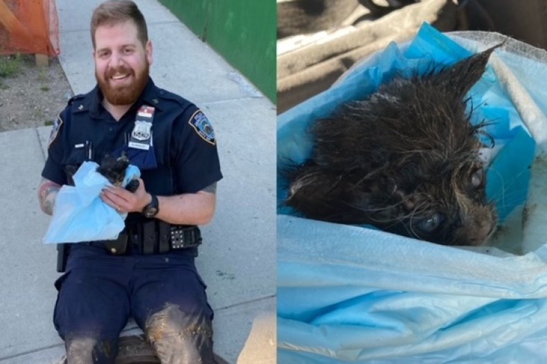 NYPD cop adopts rescued kitten