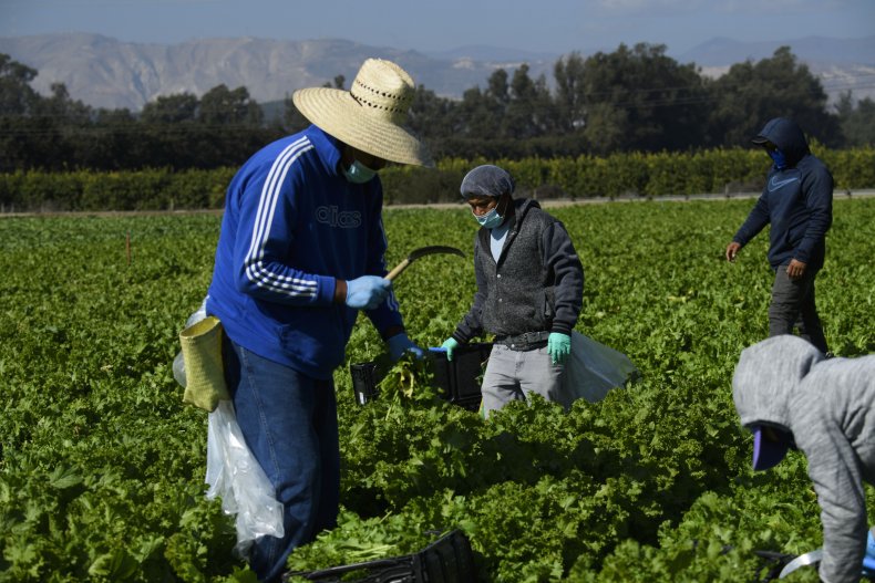 Farmworkers