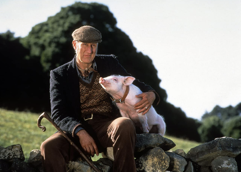 Babe (1995)