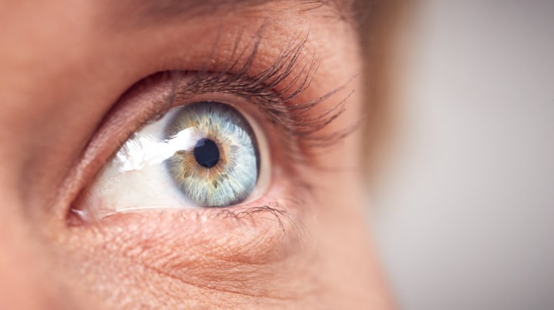 Close-up of an eye