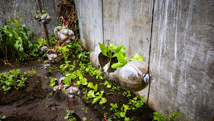 Guatemala kitchen gardens