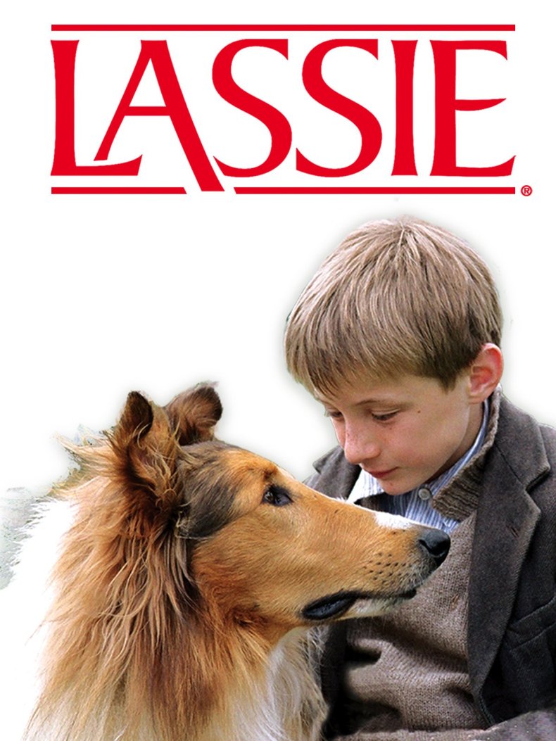 Lassie