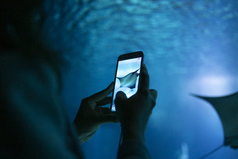 Visitor takes photo at aquarium