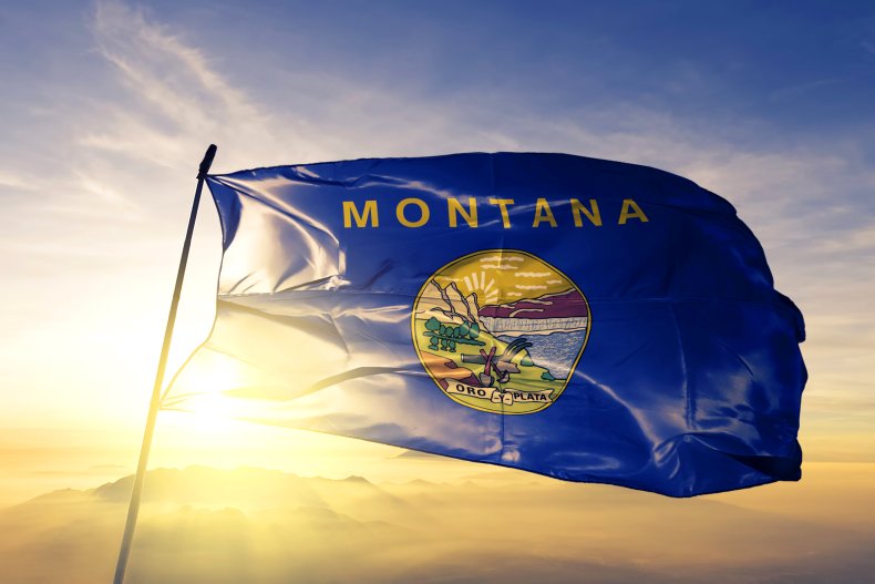 Montana Flag