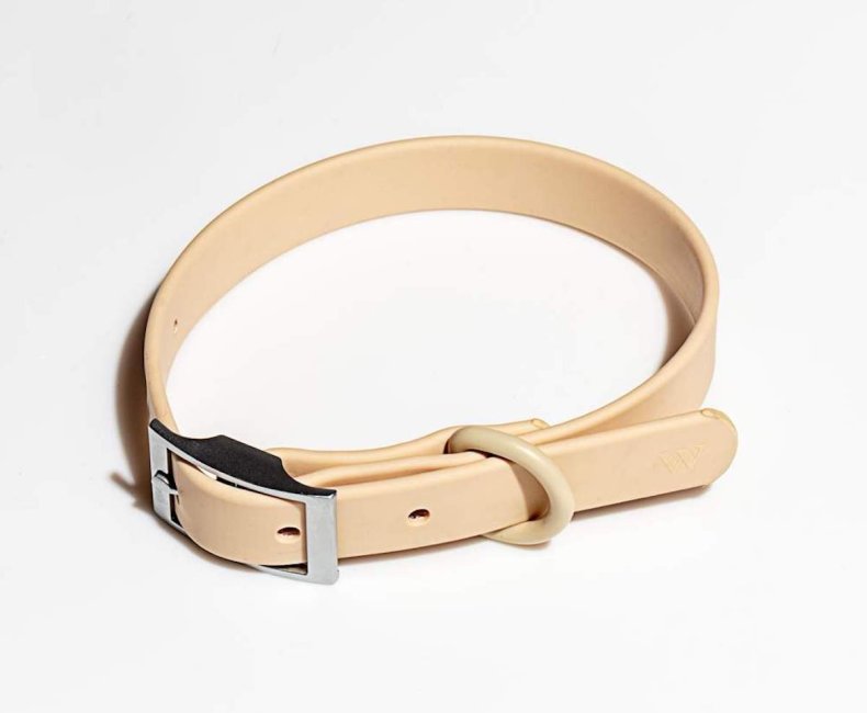 best dog collars for puppies wild one
