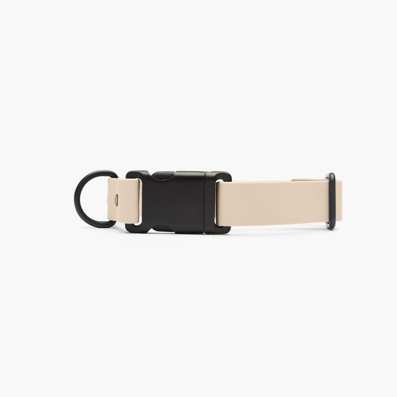 best dog collars for puppies fable