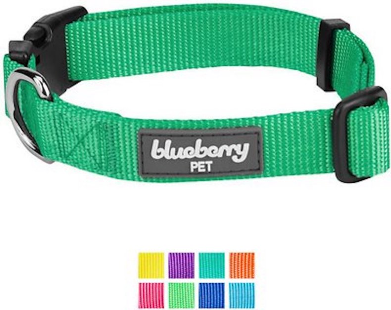 best dog collars for puppies blueberry