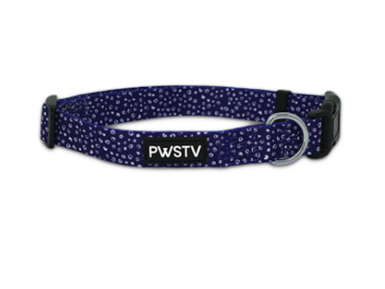 best dog collars for puppies pawsitive co