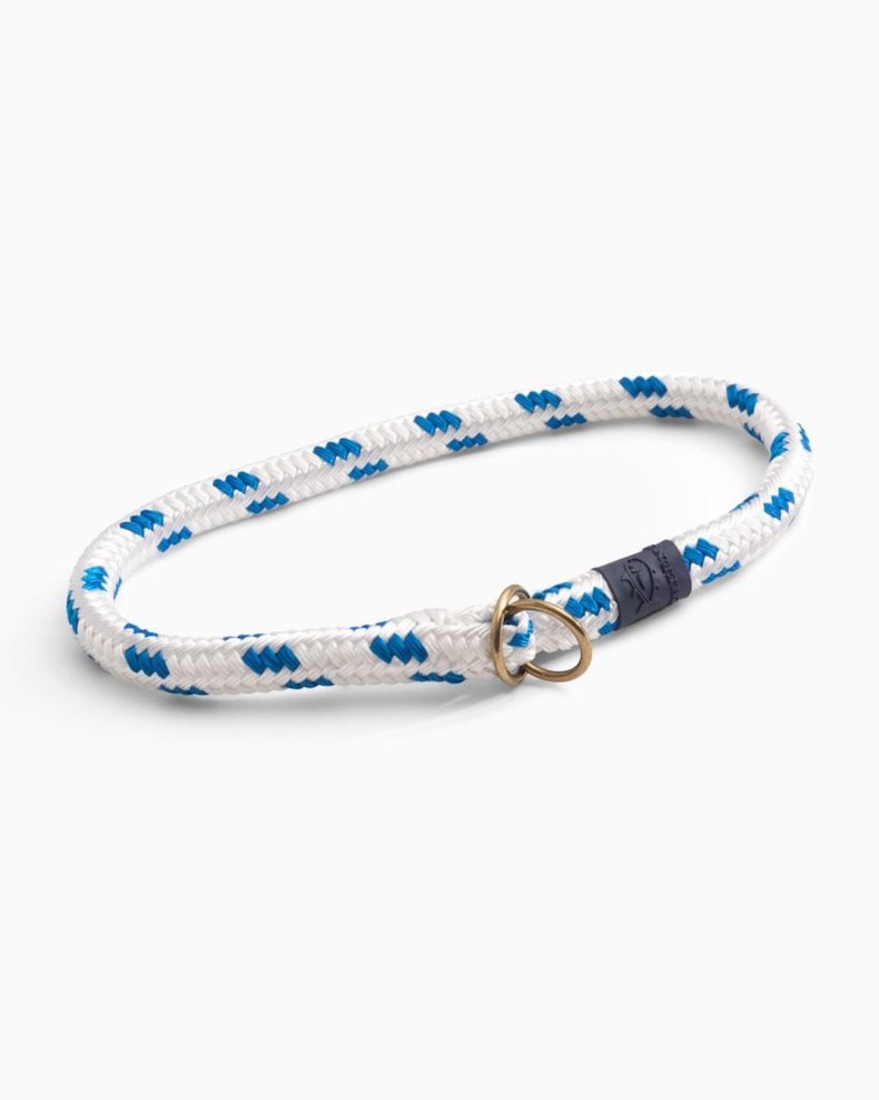 best dog collars for puppies southern tide