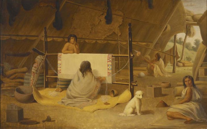 Salish Wool Dogs