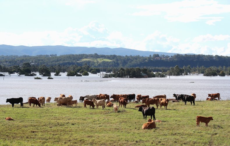 New South Wales Australia Farm