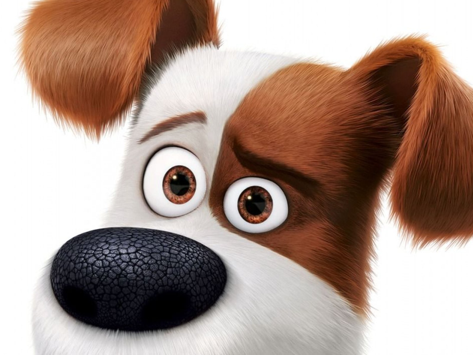 animated dogs