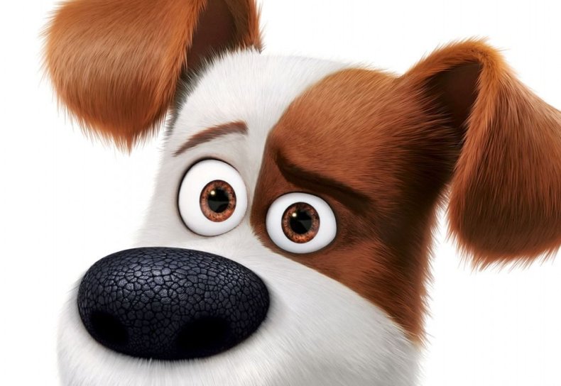 The Secret Life of Pets