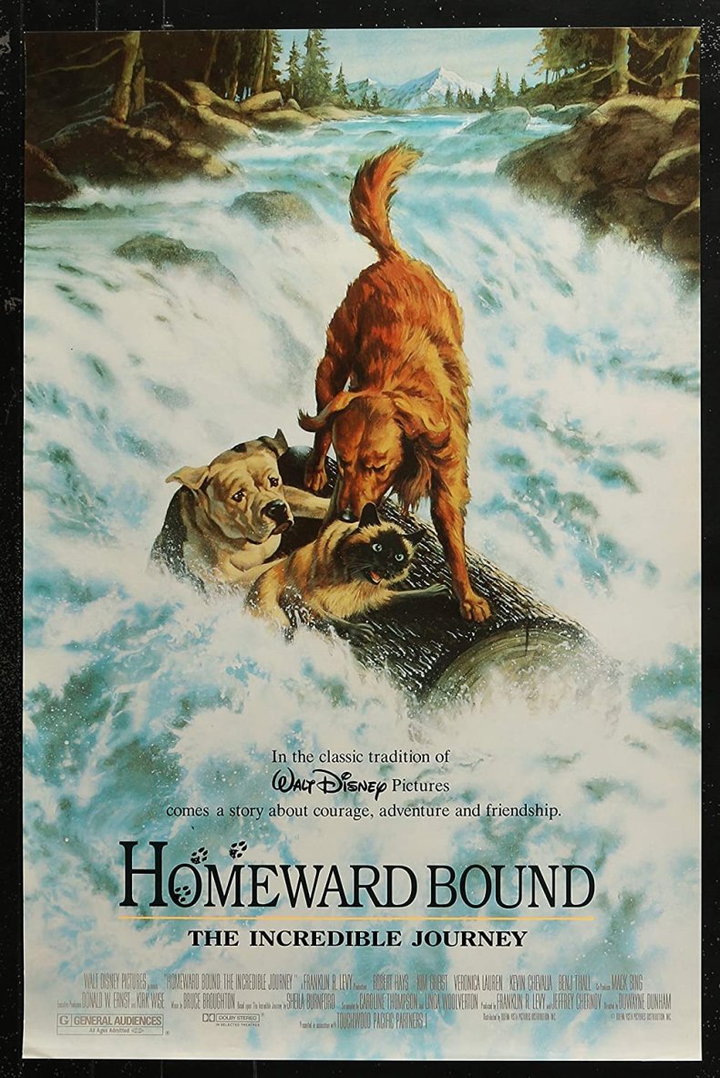 Homeward Bound: The Incredible Journey