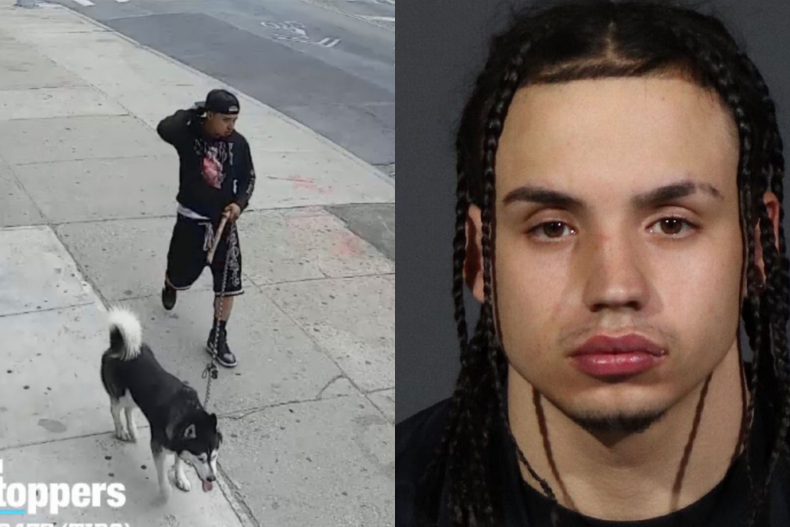 child predator NYPD