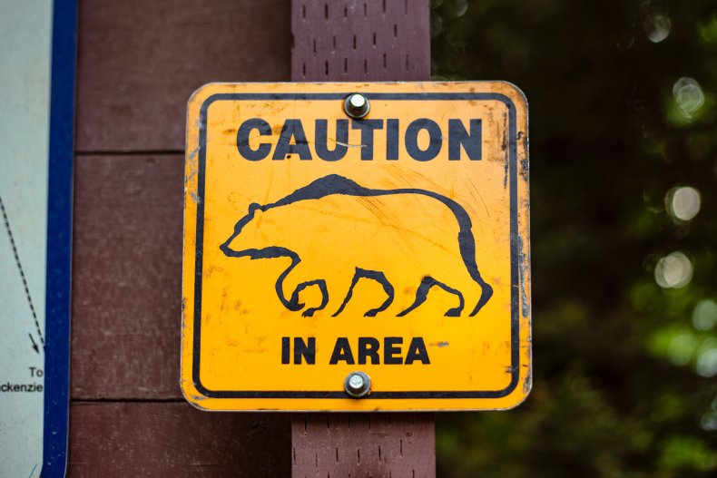 Bear warning sign