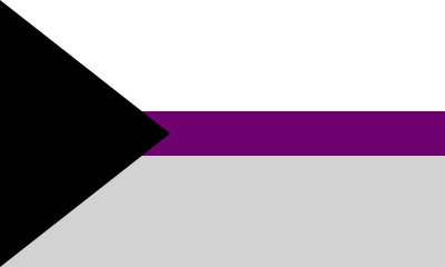 The demisexual pride flag. The demisexual pride flag.