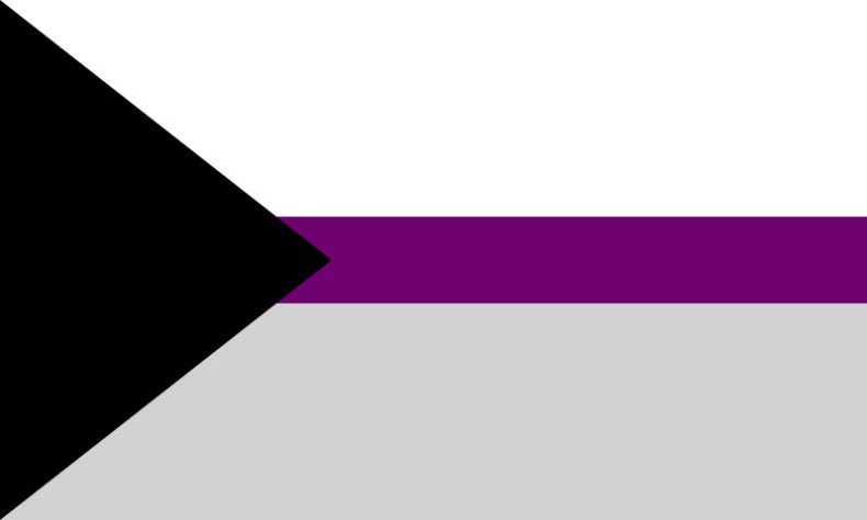 The demisexual pride flag.