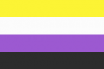 A non-binary pride flag. 