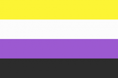 A non-binary pride flag. A non-binary pride flag.