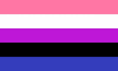 The gender fluid pride flag. The gender fluid pride flag.