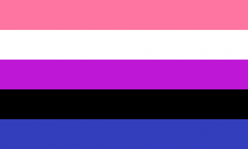 The gender fluid pride flag. 