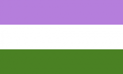 The genderqueer pride flag.