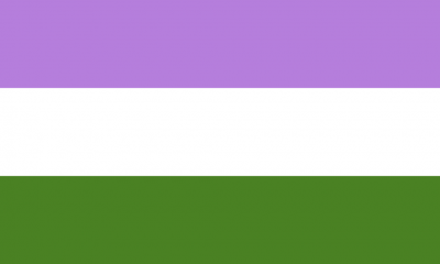 The genderqueer pride flag. The genderqueer pride flag.