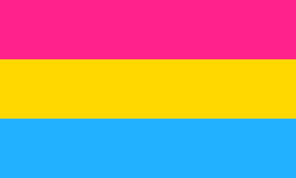 LGBT Rainbow Lesbian Flag Gay Pride Asexual Transgender Bisexual Parade Pan Flag 