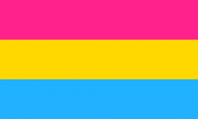 The pansexual pride flag.