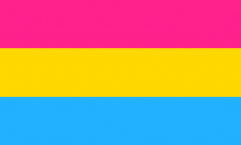 The pansexual pride flag.