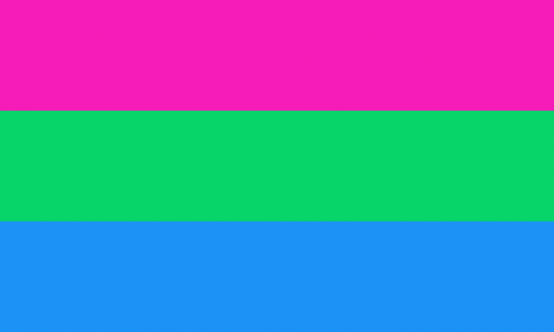 The polysexual pride flag.