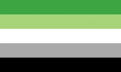 The aromantic pride flag. The aromantic pride flag.