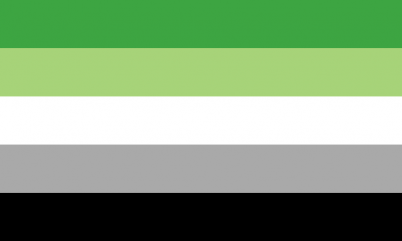 The aromantic pride flag.