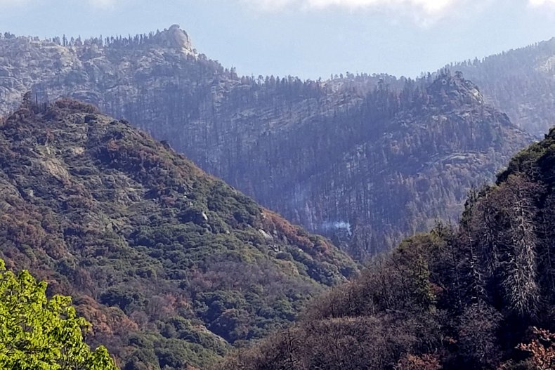 Sierra Nevada