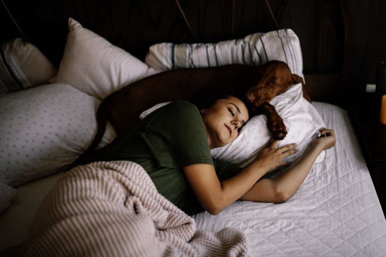 Dog sleeping