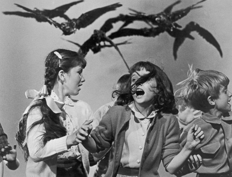 The Birds
