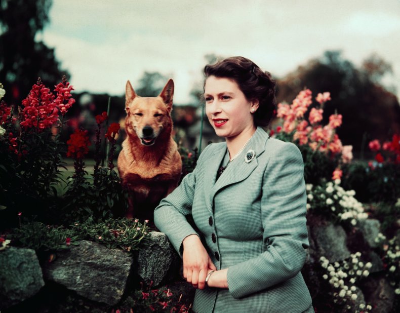 Queen Elizabeth II and Corgi at Balmoral