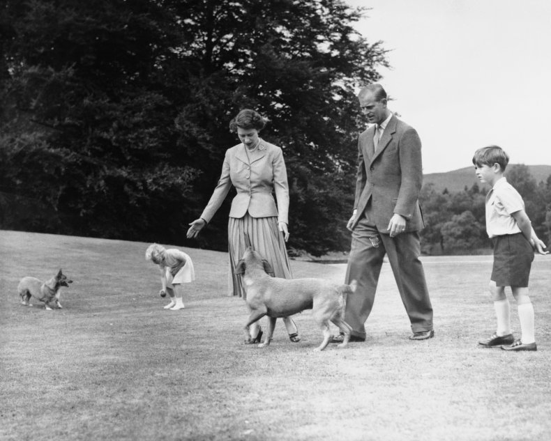 Queen and Royal Family With Dogs