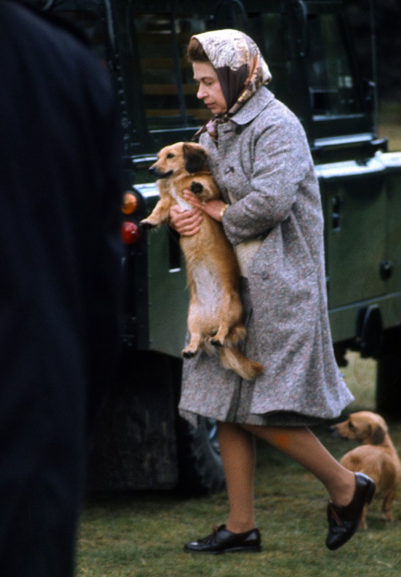 Queen Elizabeth II Holds Corgi
