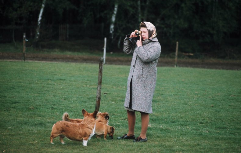 Queen Elizabeth Photographing Corgis