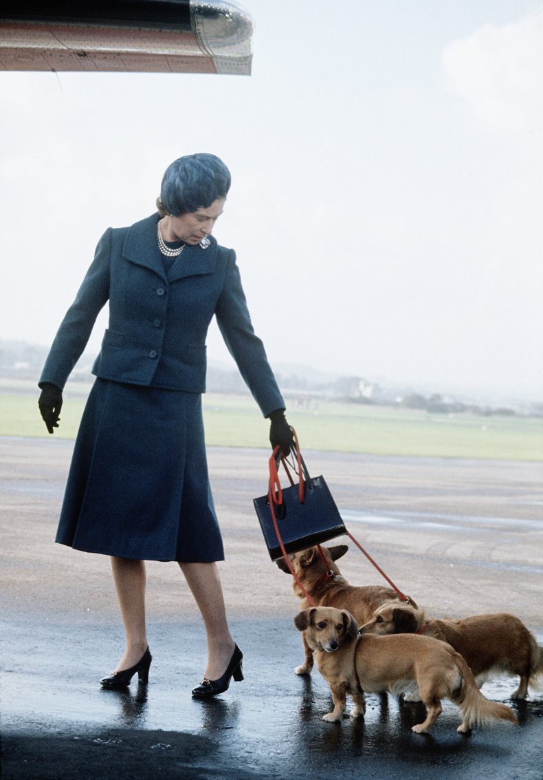 Queen Elizabeth With Corgi at Airport