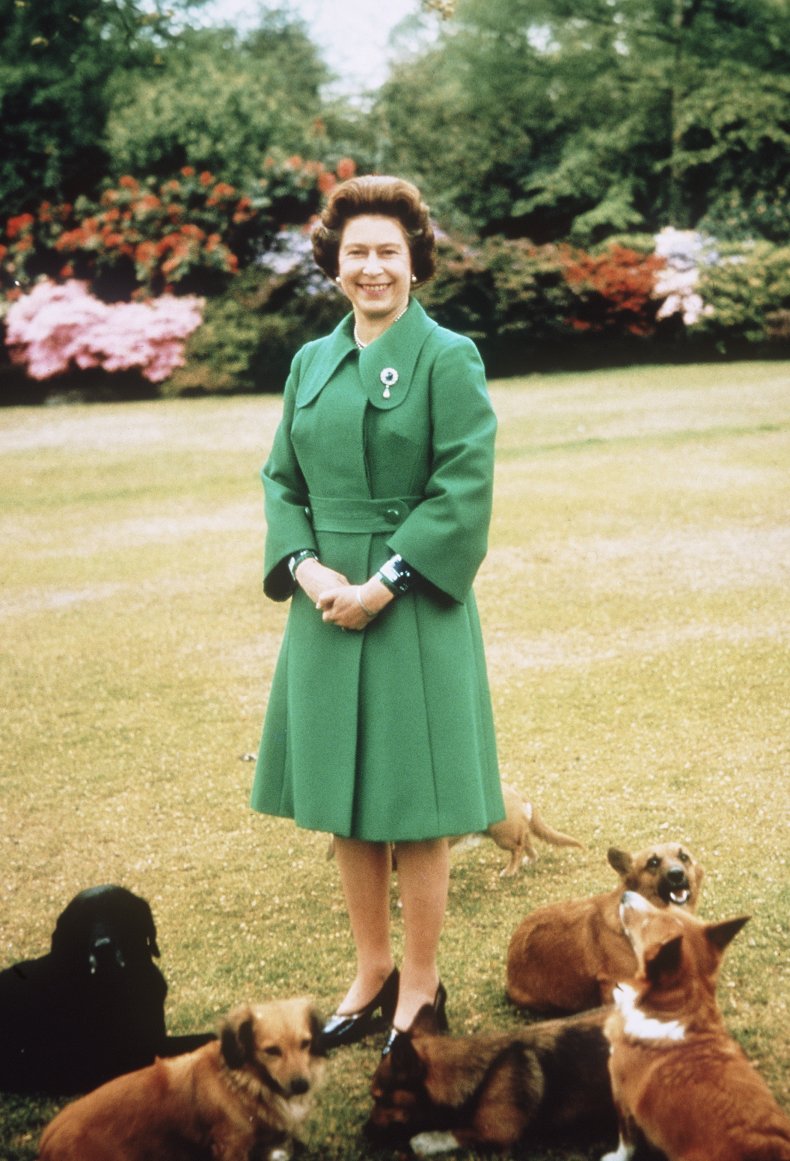 Queen at Sandringham With Corgis