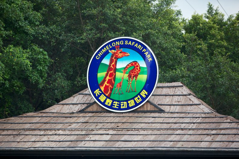 Chimelong Safari Park lesbian couple