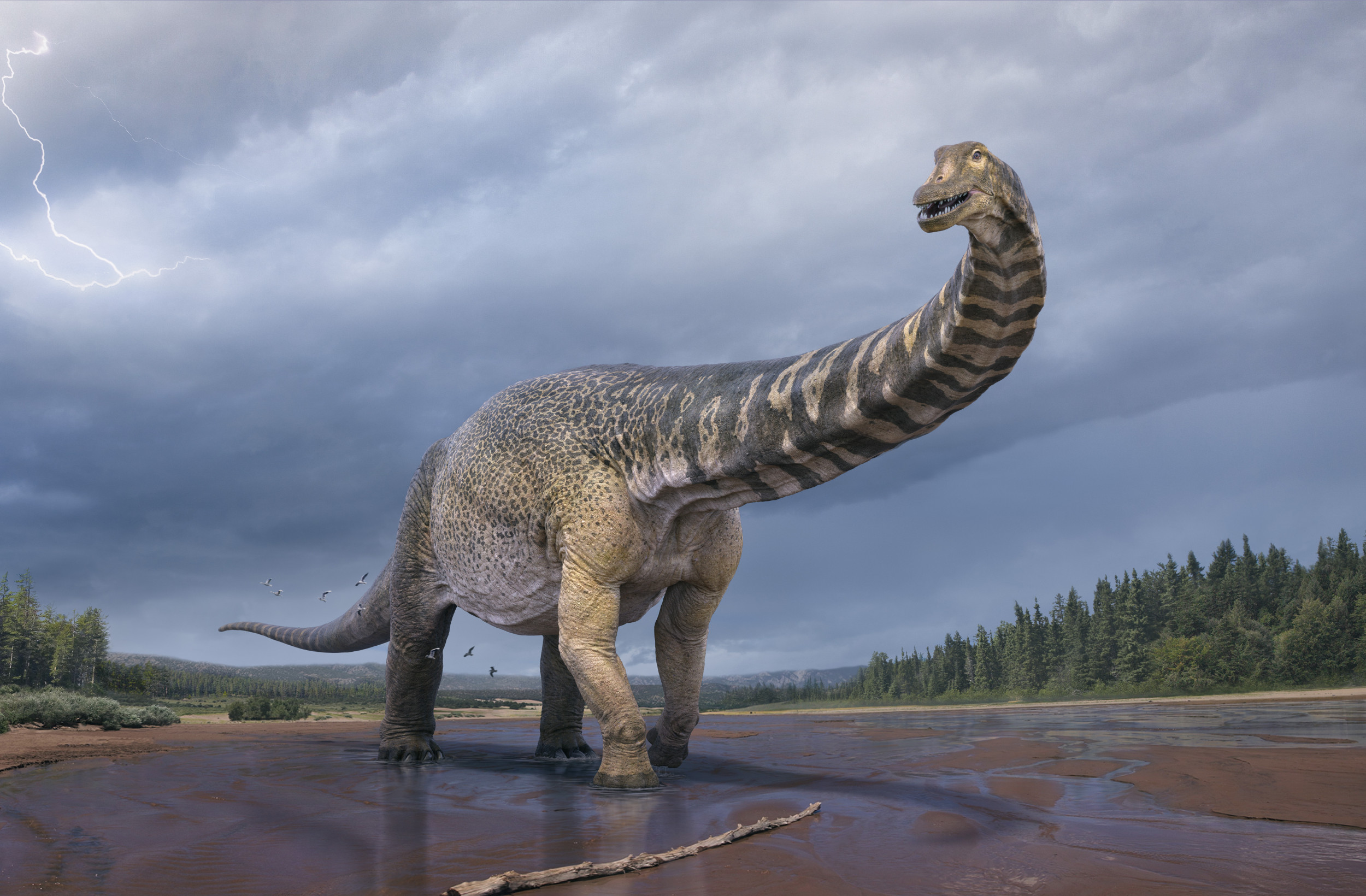 Главные динозавры. Титанозавр зауропод. Доисторический парк титанозавр. Volgatitan simbirskiensis. Aquilarhinus palimentus.