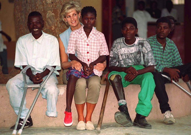 Princess Diana's Landmines Work